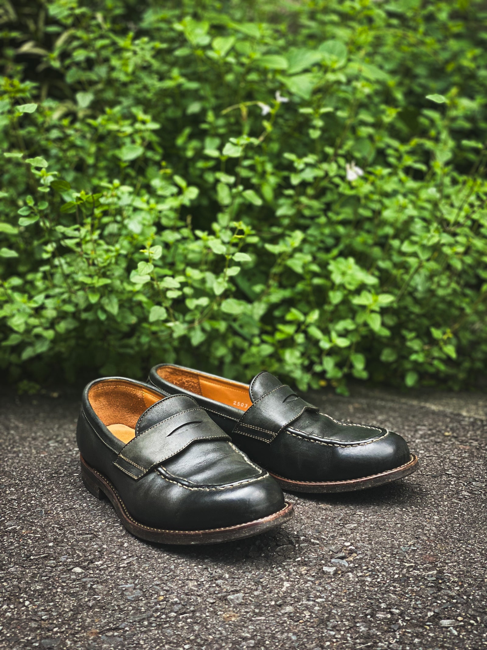 #2503 HORWEEN LATIGO PENNY LOAFERS ホーウィンラティーゴ コインローファー – MOTO ONLINE STORE