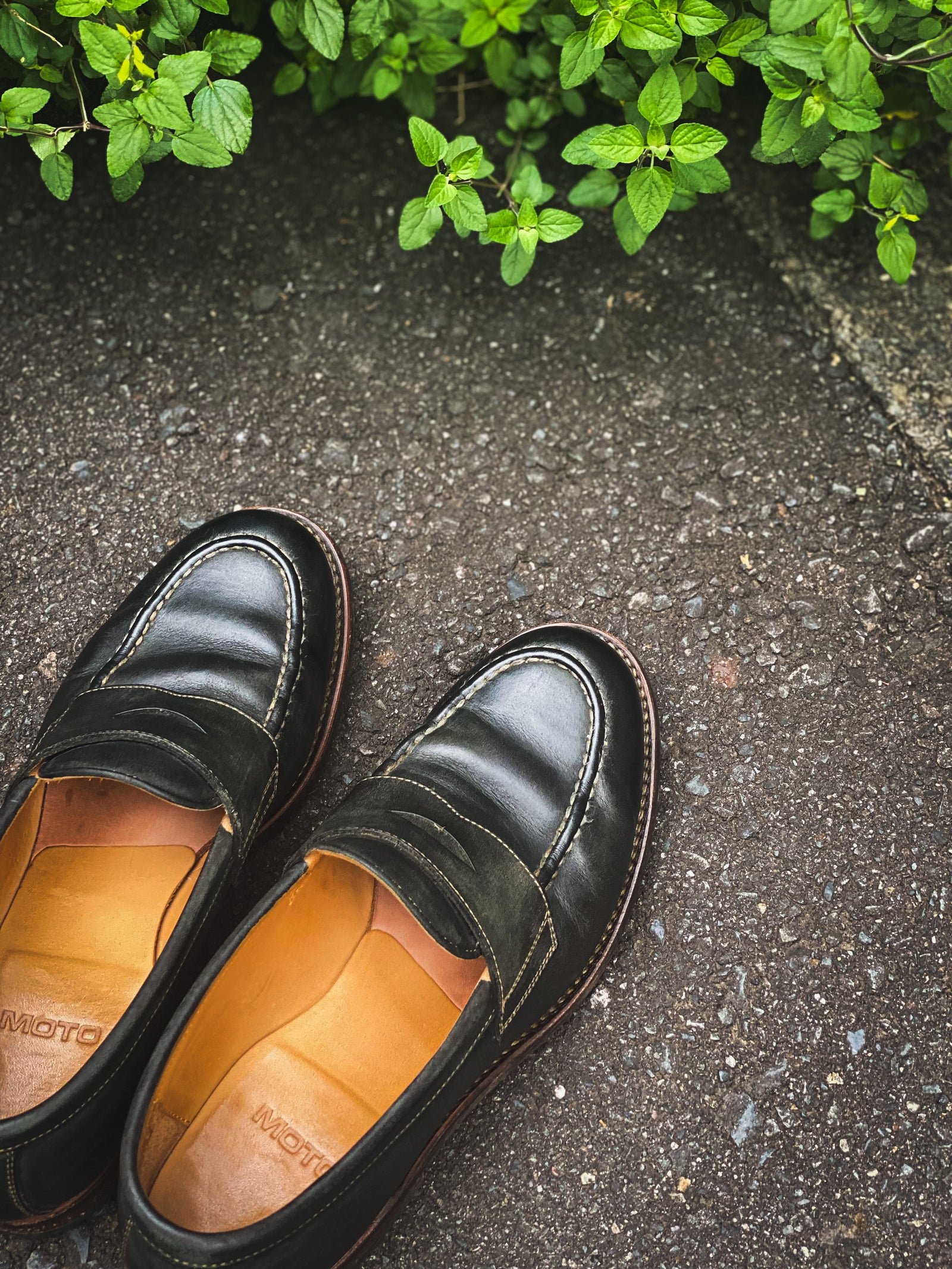 #2503 HORWEEN LATIGO PENNY LOAFERS ホーウィンラティーゴ コインローファー – MOTO ONLINE STORE